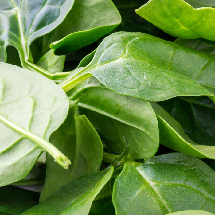 Fresh spinach as a low calorie filling food