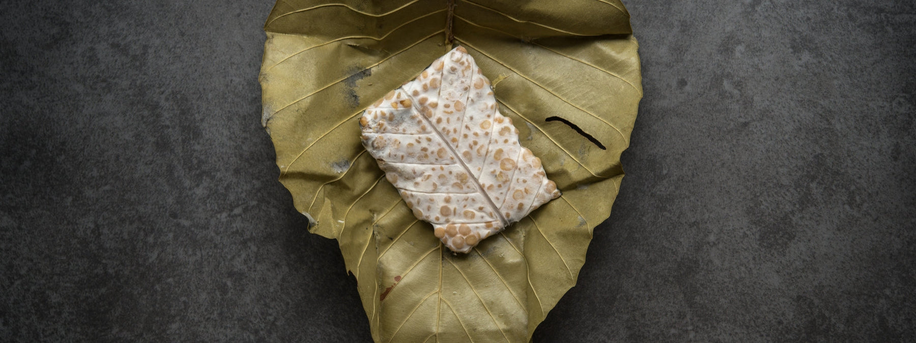 Tempeh representing a healthy protein-packed food that isn't red meat