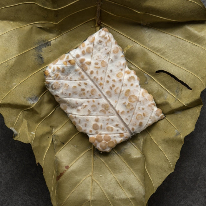 Tempeh representing a healthy protein-packed food that isn't red meat