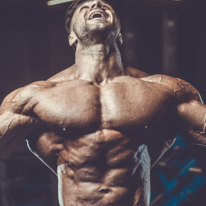 Build Bigger Traps With These 8 Exercises