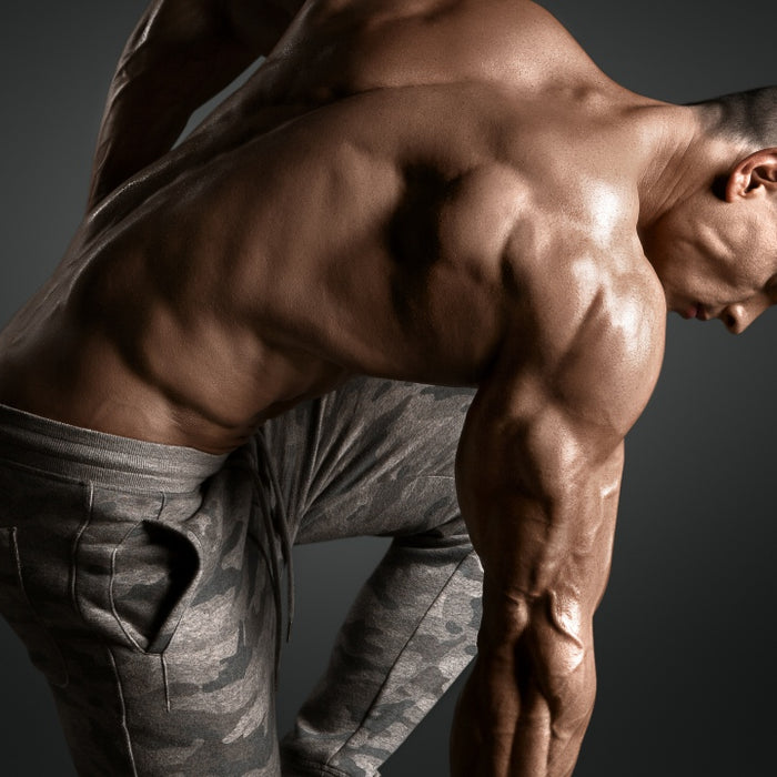 V-Taper Workout: Building An Impressive, Wedge-Shaped Back