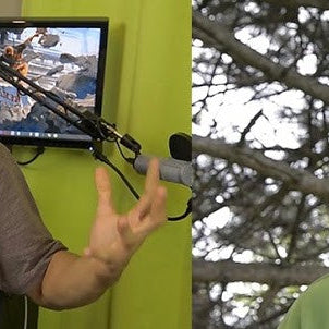 Vegan Gains YouTube channel cover image