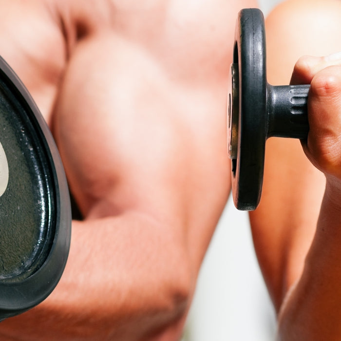 Studies Suggest Lifting Weights Helps You Live Longer