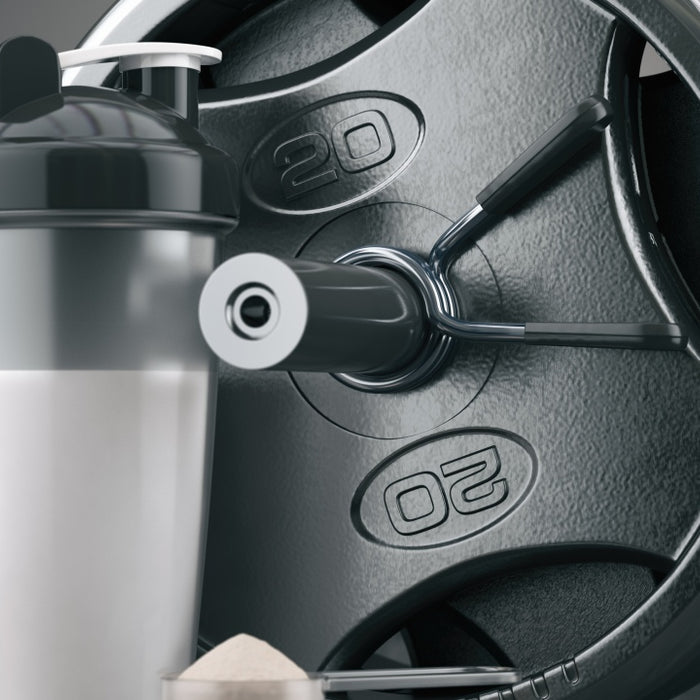 Best Muscle Building Supplements for the Beginning Lifter