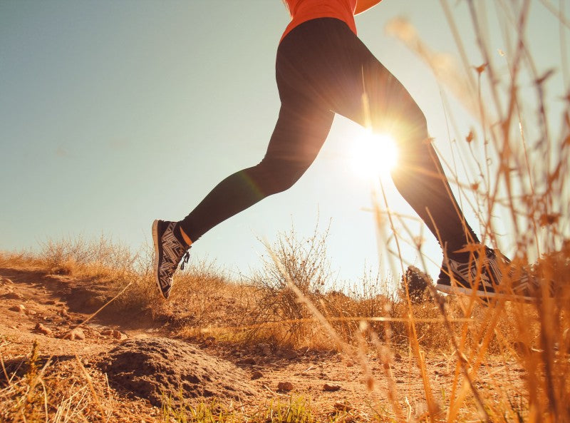 Best Women's Sneakers for working out