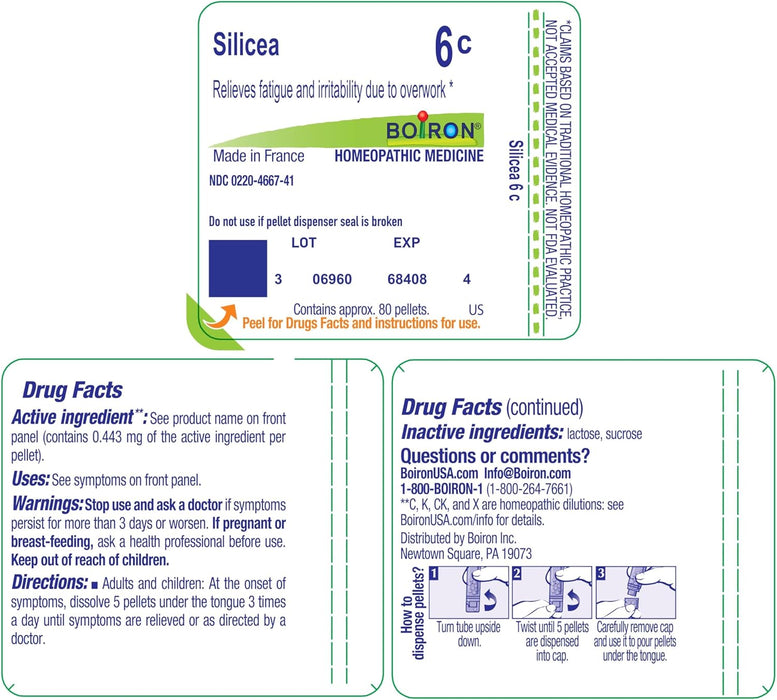 Back label of Boiron Silicea 6C showing active ingredient dilution, directions for use, and warnings