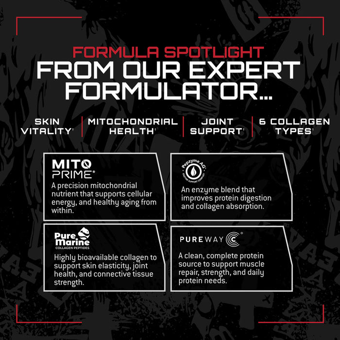 Unmatched Collagen Peptide-6 | Longevity Formula