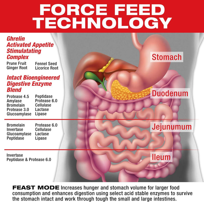 MuscleMeds Feast Mode digestive enzyme formula illustrating digestive health and nutrient absorption support.