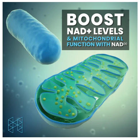 NAD(3) | Natural NAD+ Booster