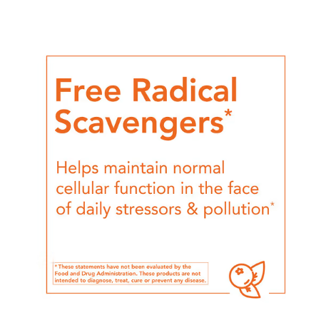 NOW Foods Acai 500 mg antioxidant superfruit graphic highlighting polyphenols, ellagic acid, rutin, anthocyanins and catechins