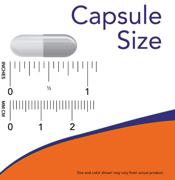 NOW Foods Black Cohosh 80 mg capsule size comparison chart showing capsule dimensions in inches and millimeters.
