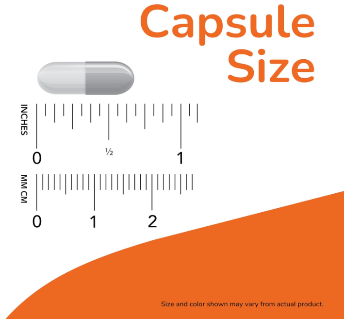 NOW Foods Boswellia Extract 500 mg veg capsule size