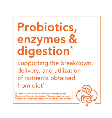 NOW Foods probiotics enzymes and digestion support graphic highlighting nutrient breakdown and digestive health benefits