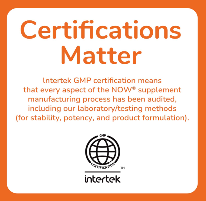 NOW Foods DMAE 250 mg bottle placed on an open book, highlighting healthy brain function support, 100 veg capsules