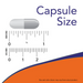 NOW Foods Feverfew capsule size comparison chart showing single vegetable capsule next to measurement scale