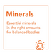 NOW Foods minerals graphic emphasizing essential minerals in proper amounts for balanced body support.