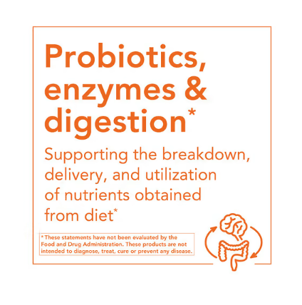 NOW Foods Peppermint Gels probiotics enzymes and digestion support graphic highlighting nutrient breakdown and utilization