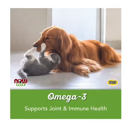NOW Pets Omega-3 Support joint and immune health benefit graphic with dog resting