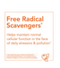 NOW Foods Rutin 450 mg Free Radical Scavenger benefit graphic supporting cellular function and antioxidant defense