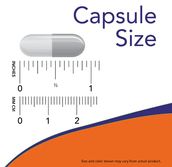 NOW Foods Tart Cherry 500 mg capsule size chart showing actual vegetarian capsule dimensions.
