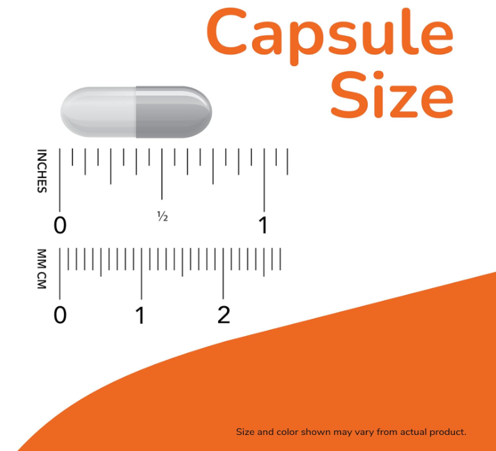 NOW Foods Ginkgo Biloba capsule size comparison with ruler scale