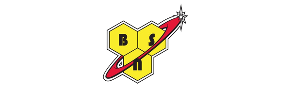 BSN logo