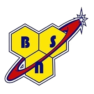 BSN logo