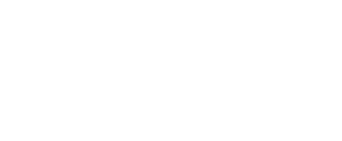 Squish Energy logo